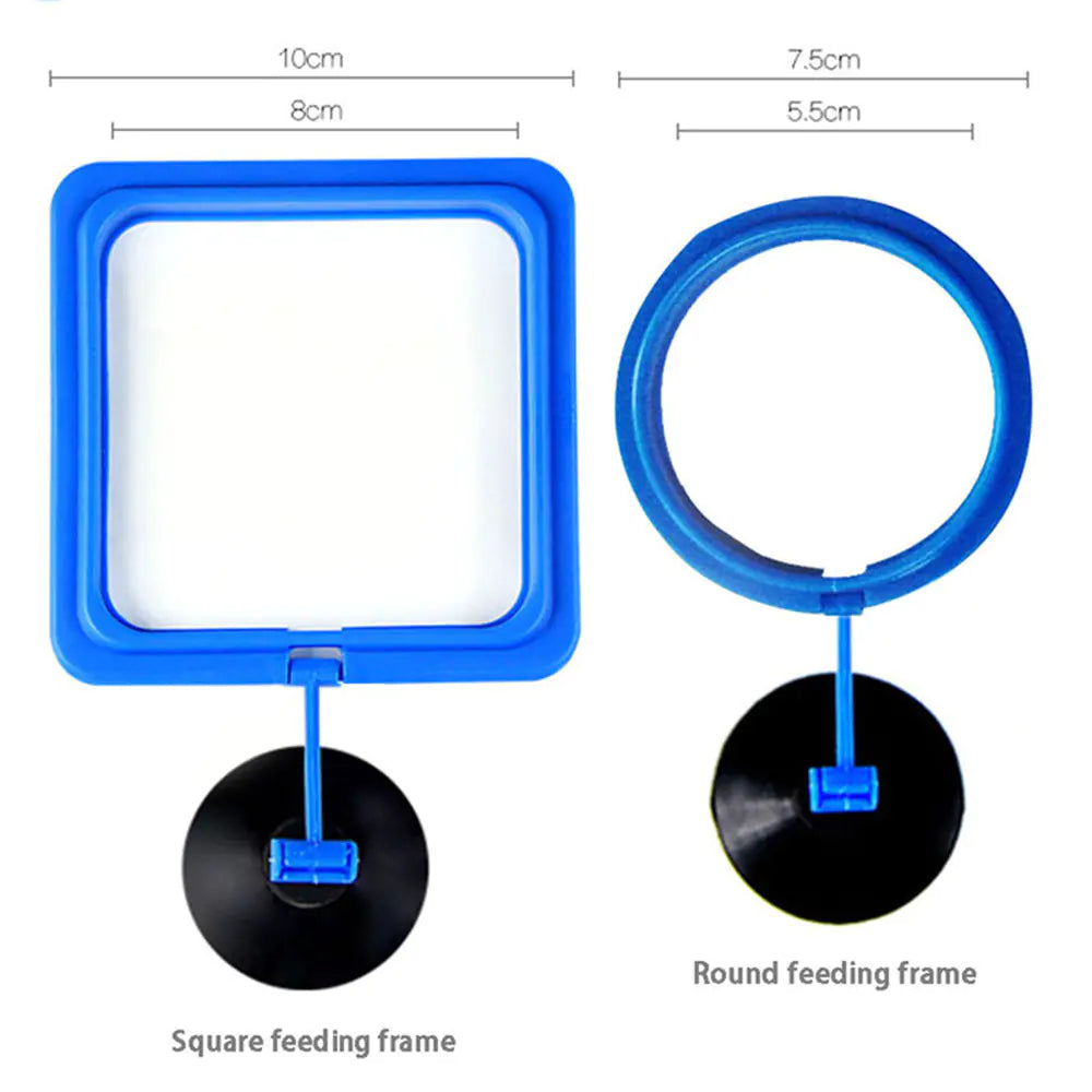 Aquarium Feeding Ring