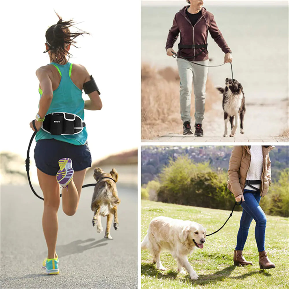 Hands-Free Dog Training Leash