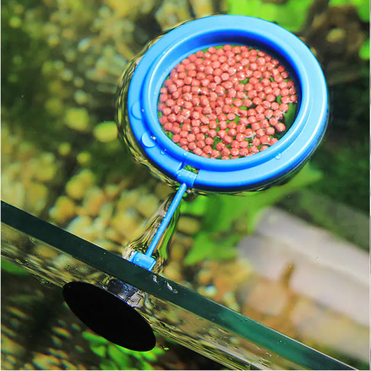 Aquarium Feeding Ring