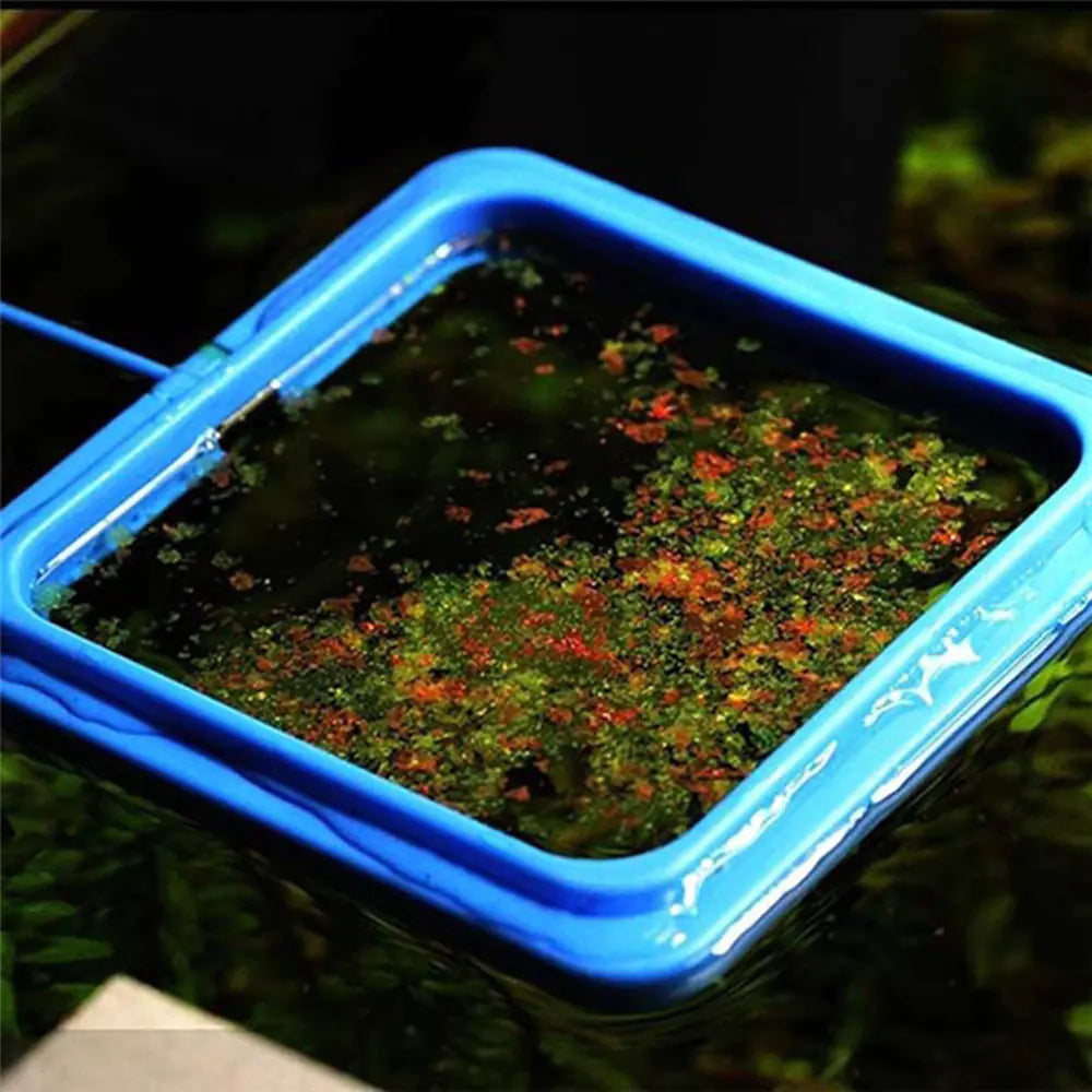 Aquarium Feeding Ring