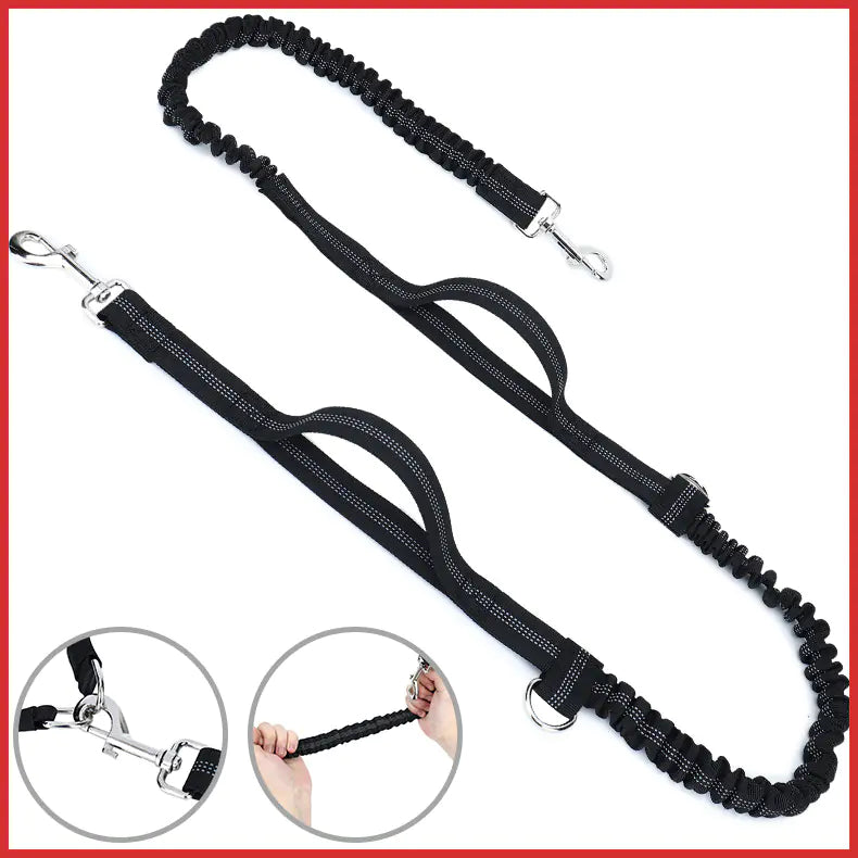 Hands-Free Dog Training Leash